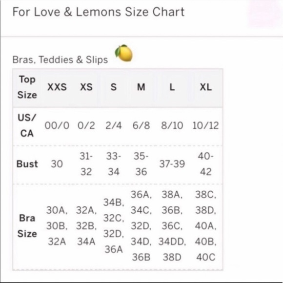 For Love & Lemons V Day Floral Embroidery Bra - Picture 11 of 12